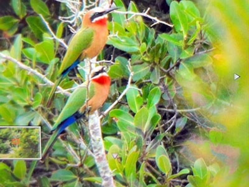 Recorded at De Mond Farms by Alistair Kil[pin 31st March 2025